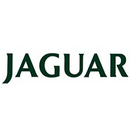 JAGUAR логотип изображение JAGUAR логотип